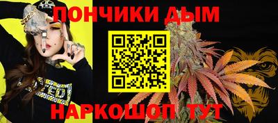 гашик Заводоуковск