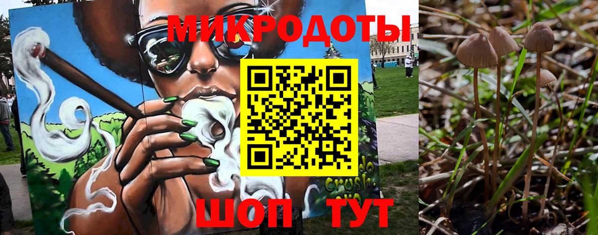 Галлюциногенные грибы Cubensis Ленинск-Кузнецкий