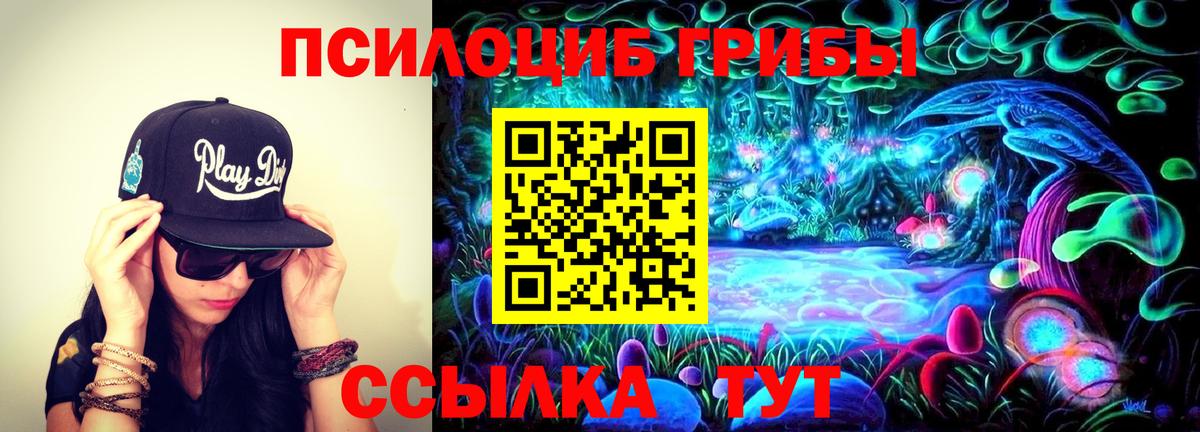 Псилоцибиновые грибы Psilocybe  Вход с VPN  Галлюциногенные грибы Psilocybe  Ленинск-Кузнецкий 